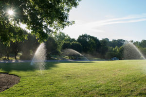 Spring Season!-knoxville-irrigation-lawn-care-maryville-tn