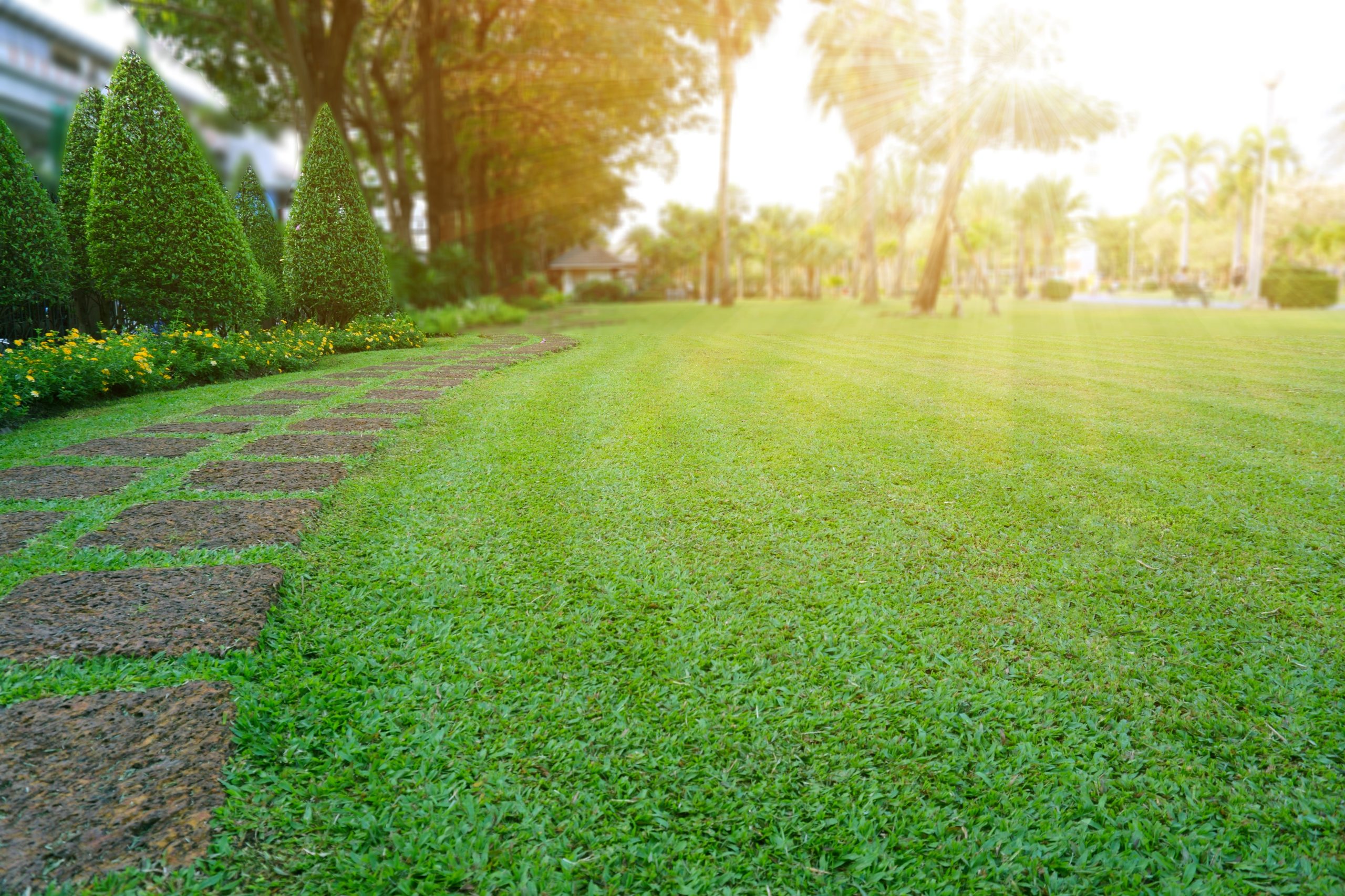 Lawncare in East Tennessee
