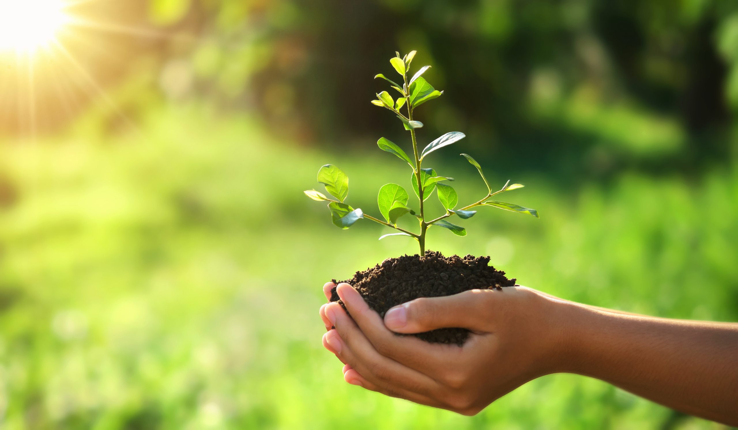 Earth Day conservation